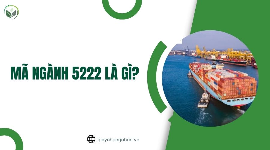 Mã ngành 5222 là gì?.jpg