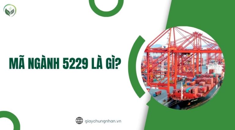 Mã ngành 5229 là gì?