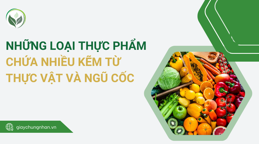 Những loại thực phẩm chứa nhiều kẽm từ thực vật và ngũ cốc