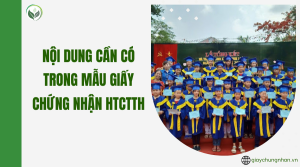 Nội dung cần có trong mẫu giấy chứng nhận HTCTTH