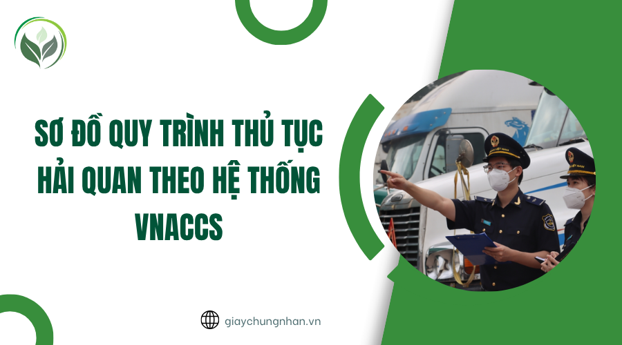 Sơ đồ quy trình thủ tục hải quan theo hệ thống VNACCS