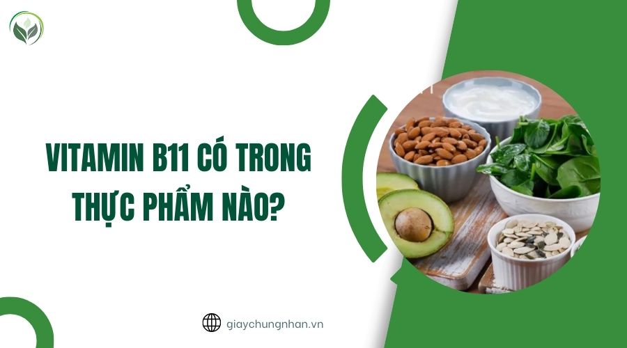 Vitamin b11 có trong thực phẩm nào?