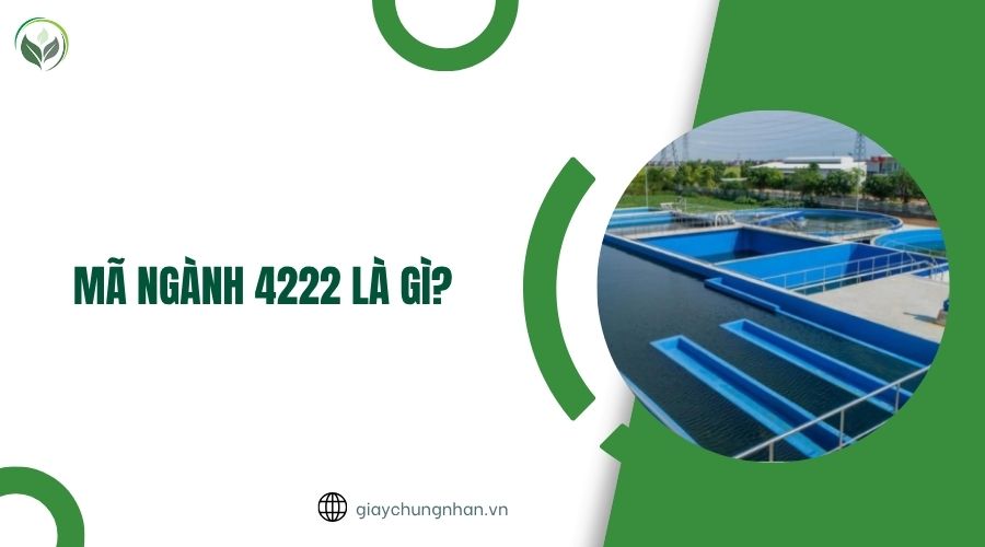 mã ngành 4222 là gì?.jpg