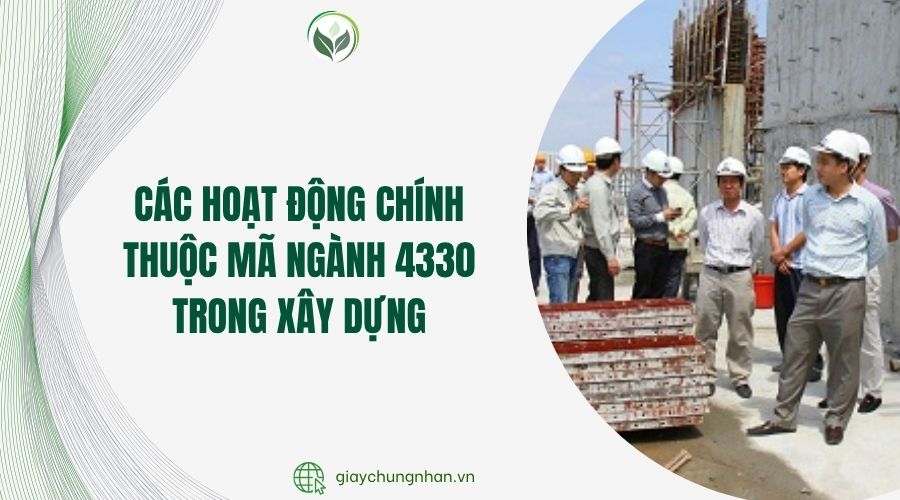 Phạm vi hoạt động chi tiết của mã ngành 6209