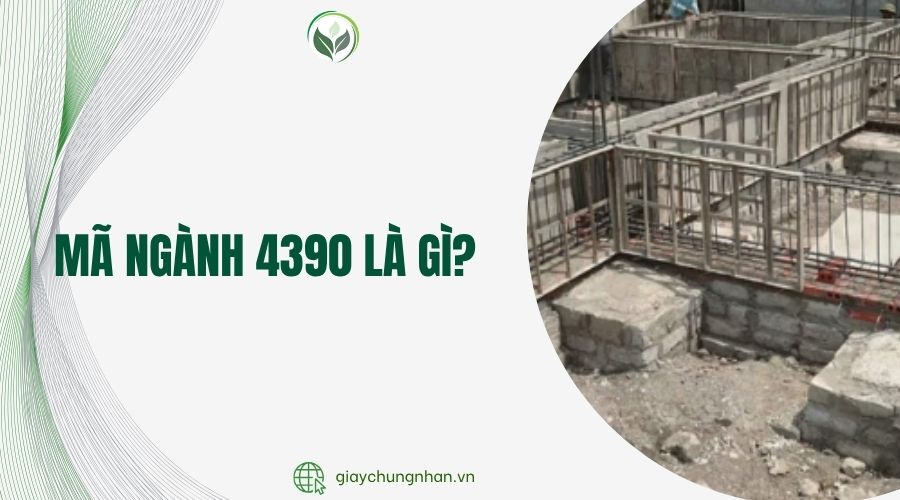 mã ngành 4390 là gì?.jpg