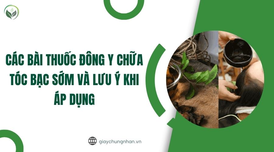 Các bài thuốc Đông y chữa tóc bạc sớm và lưu ý khi áp dụng.jpg