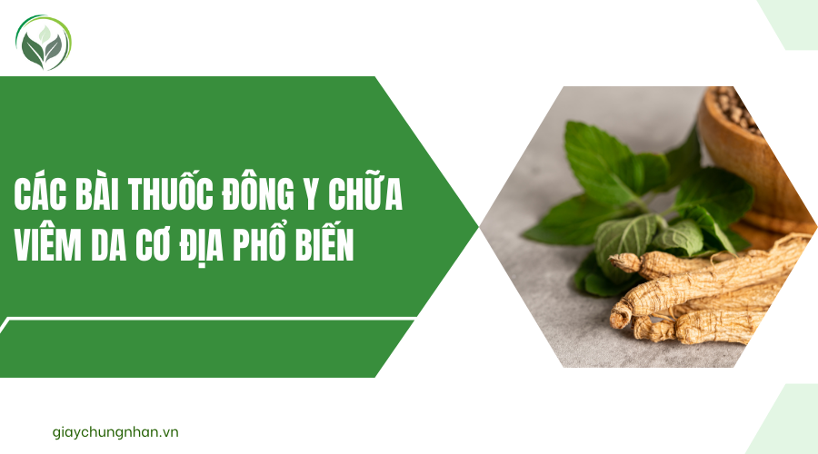 Các bài thuốc Đông y chữa viêm da cơ địa phổ biến