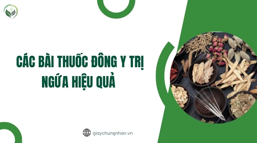 Các bài thuốc Đông y trị ngứa hiệu quả.jpg