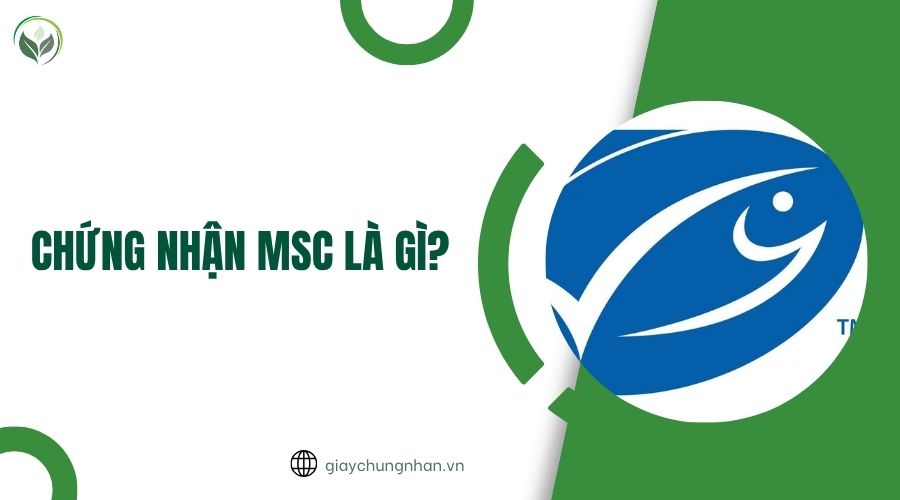 Chứng nhận MSC là gì?.jpg