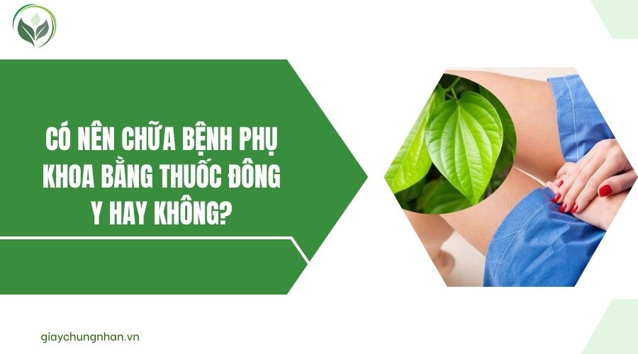 Có nên chữa bệnh phụ khoa bằng thuốc Đông y hay không?.jpg