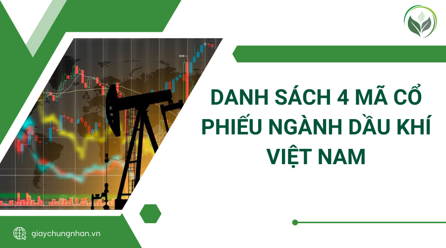 Danh sách 4 mã cổ phiếu ngành dầu khí Việt Nam