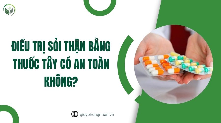 Điều trị sỏi thận bằng thuốc tây có an toàn không?.jpg