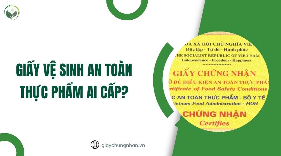 Giấy vệ sinh an toàn thực phẩm ai cấp?.jpg