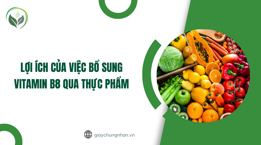 Lợi ích của việc bổ sung vitamin B8 qua thực phẩm