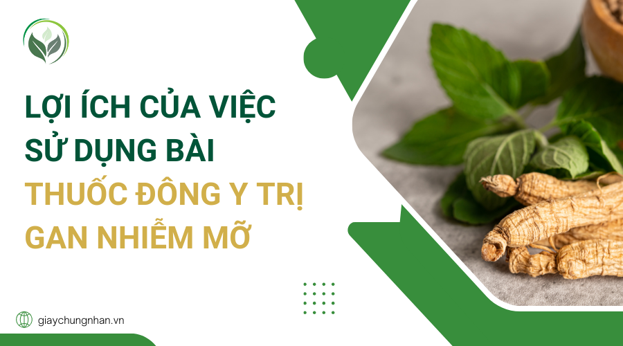 Lợi ích của việc sử dụng bài thuốc Đông y trị gan nhiễm mỡ