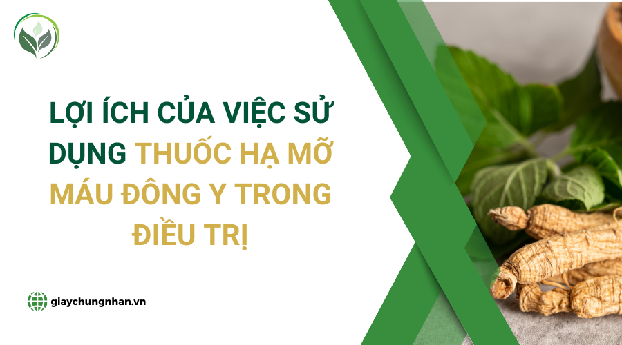 Lợi ích của việc sử dụng thuốc hạ mỡ máu Đông y trong điều trị
