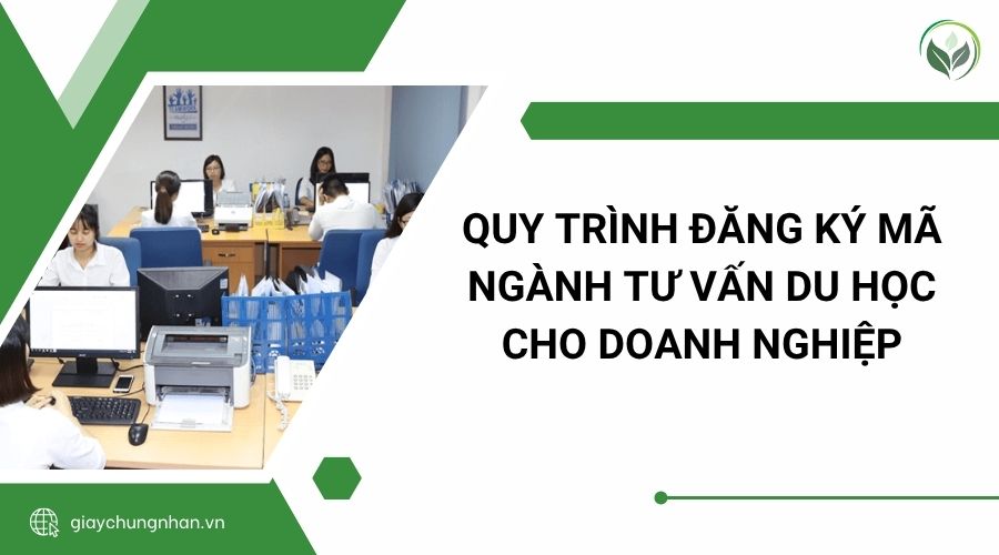 Quy trình đăng ký mã ngành tư vấn du học cho doanh nghiệp