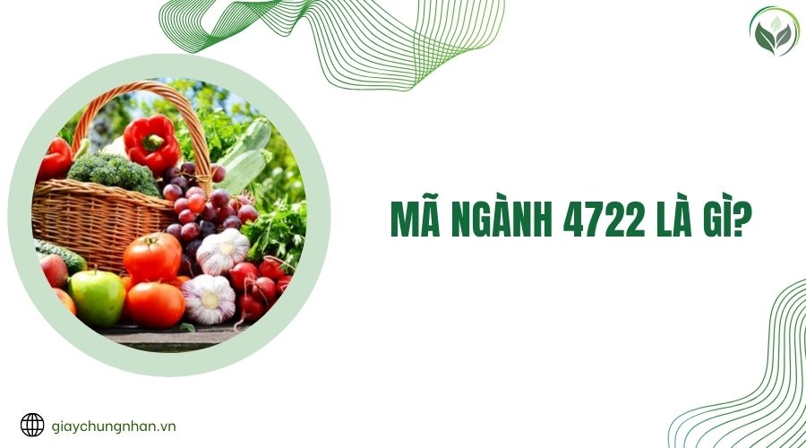 Mã ngành 4722 là gì?.jpg