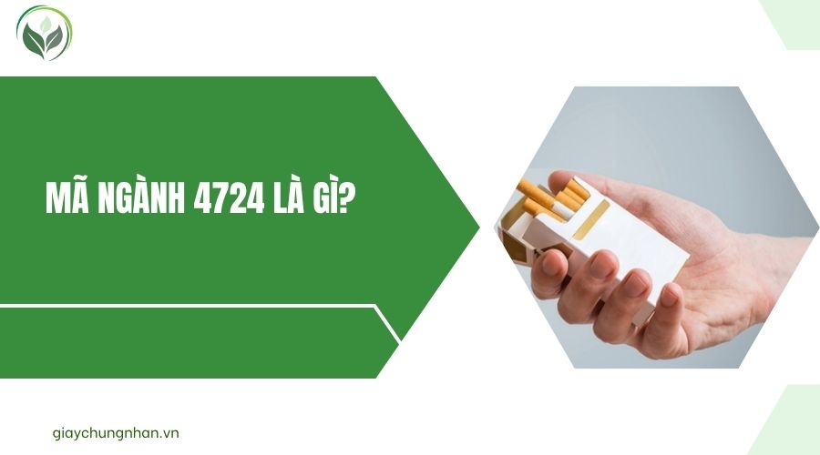 Mã ngành 4724 là gì?.jpg
