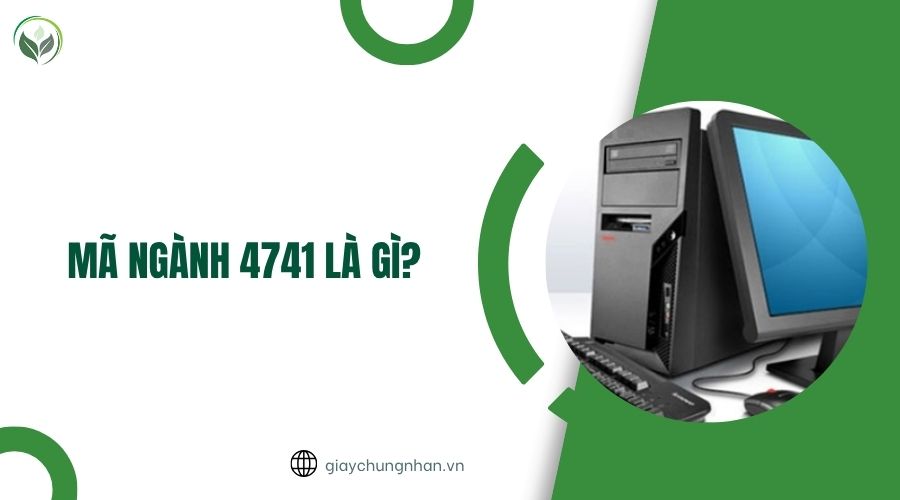 Mã ngành 4741 là gì?.jpg