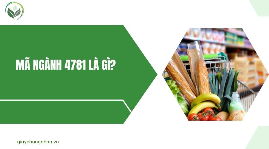 Mã ngành 4781 là gì?.jpg