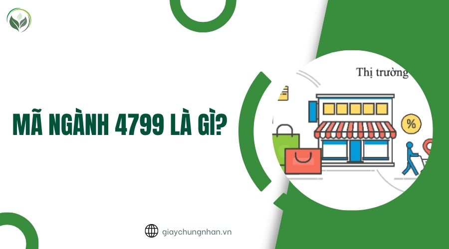 Mã ngành 4799 là gì?.jpg