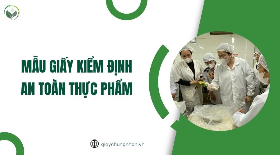Mẫu giấy kiểm định an toàn thực phẩm.jpg