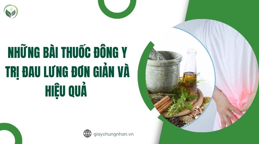 Những bài thuốc đông y trị đau lưng đơn giản và hiệu quả.jpg