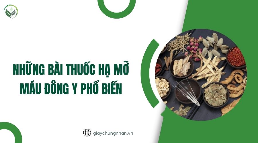 Những bài thuốc hạ mỡ máu Đông y phổ biến.jpg