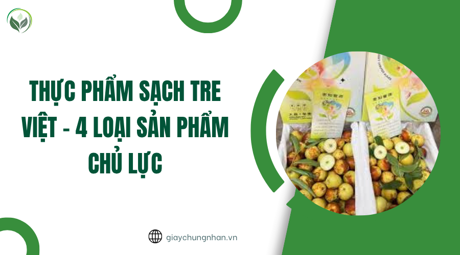 RAU XANH TƯƠI ĐƯỢC THU HOẠCH TỪ VƯỜN HỮU CƠ ĐẠT TIÊU CHUẨN CHẤT LƯỢNG