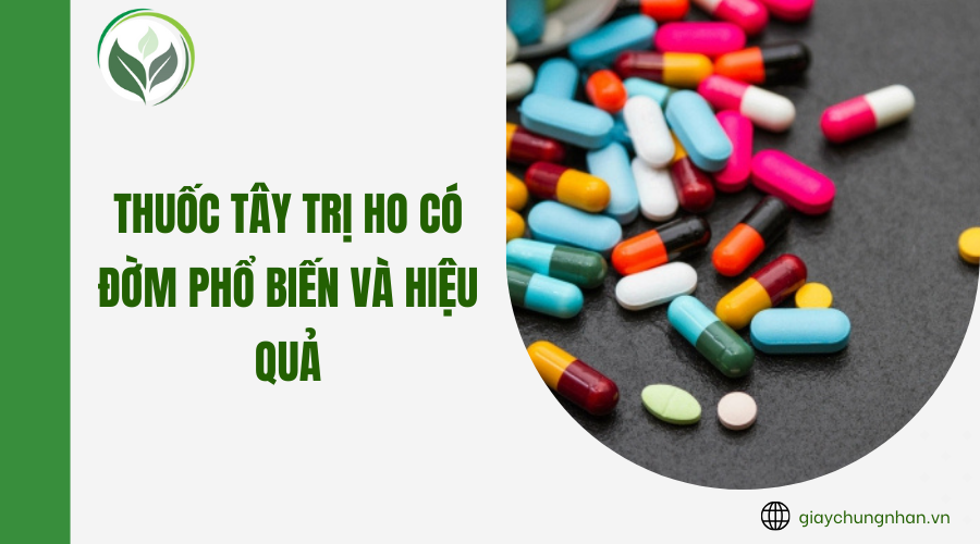 Thuốc tây trị ho có đờm phổ biến và hiệu quả