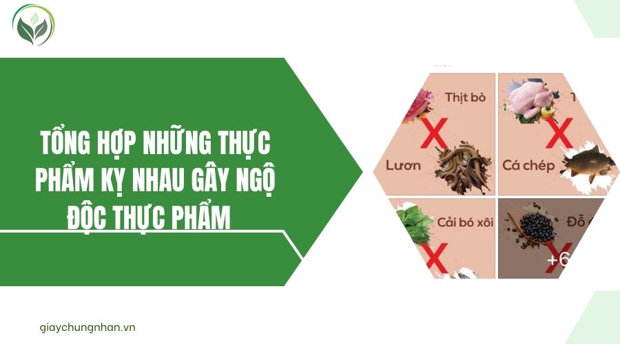 Tổng hợp những thực phẩm kỵ nhau gây ngộ độc thực phẩm.jpg