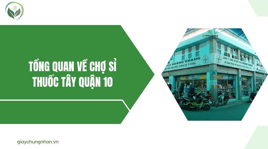 Tổng quan về Chợ sỉ thuốc tây Quận 10.jpg