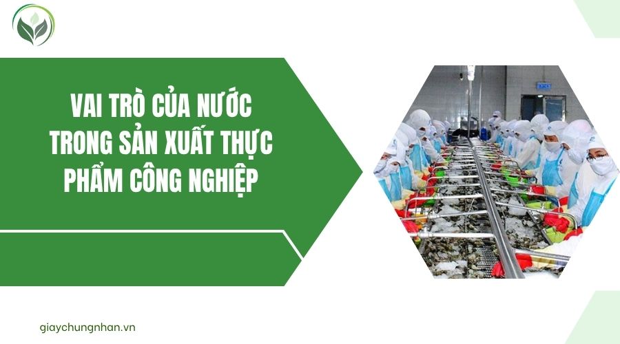 Vai trò của nước trong sản xuất thực phẩm công nghiệp.jpg