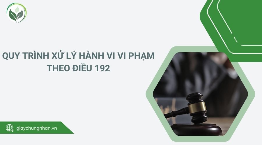 Quy trình xử lý hành vi vi phạm theo Điều 192