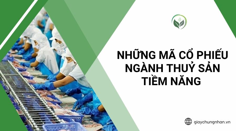 Những mã cổ phiếu ngành thuỷ sản tiềm năng 