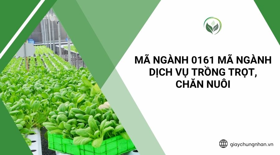 Mã ngành 0161 Mã ngành dịch vụ trồng trọt, chăn nuôi