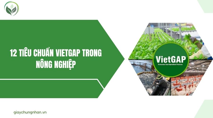 12 tiêu chuẩn VietGAP trong nông nghiệp.jpg