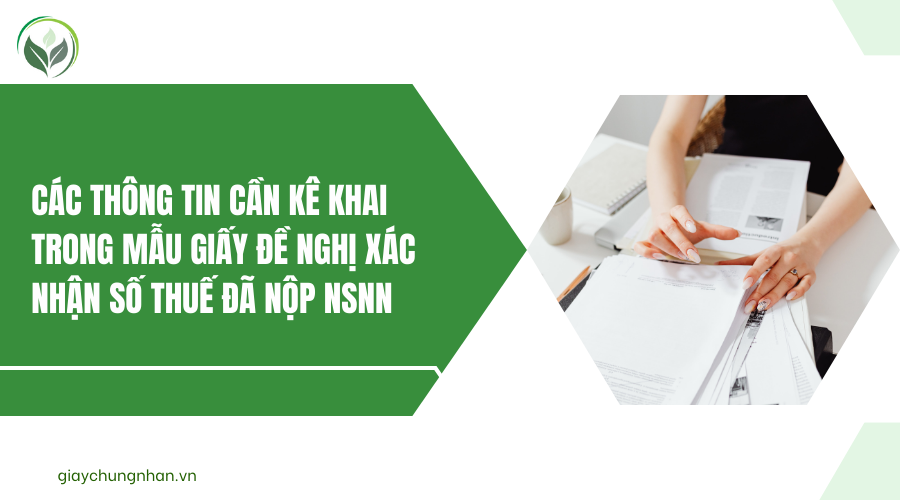Các Thông Tin Cần Kê Khai Trong Mẫu Giấy Đề Nghị Xác Nhận Số Thuế Đã Nộp NSNN