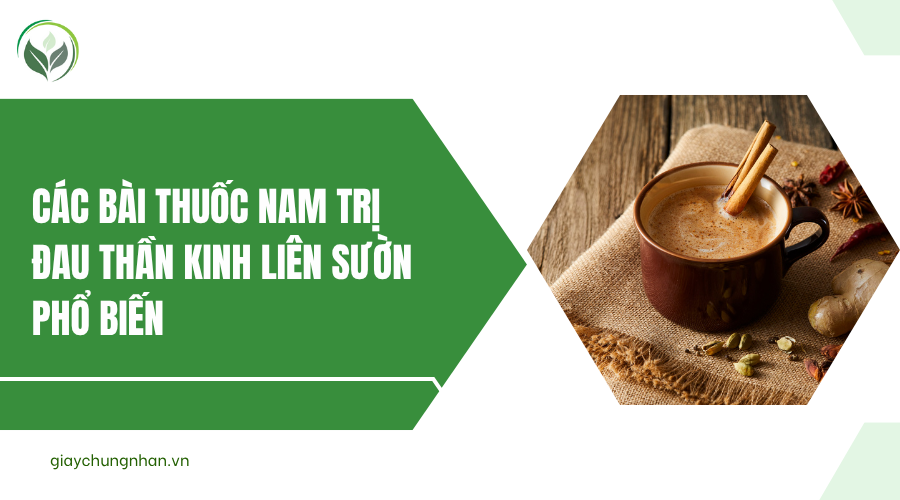 Các bài thuốc nam trị đau thần kinh liên sườn phổ biến