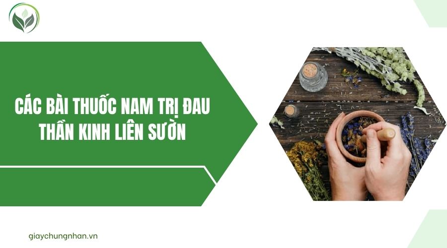 Các bài thuốc nam trị đau thần kinh liên sườn.jpg