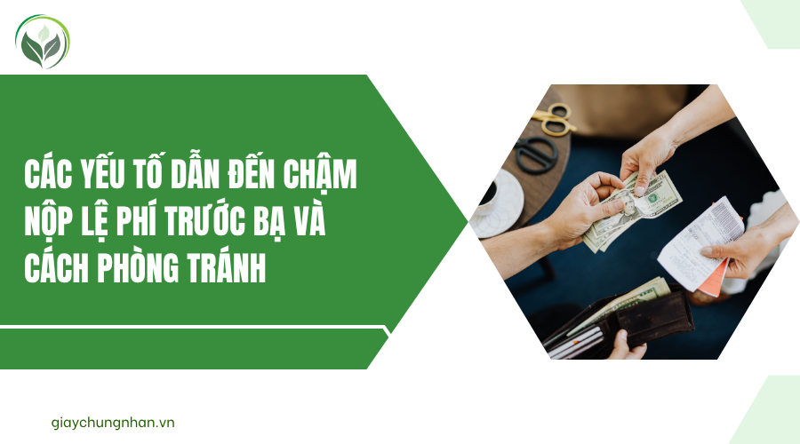 Các yếu tố dẫn đến chậm nộp lệ phí trước bạ và cách phòng tránh