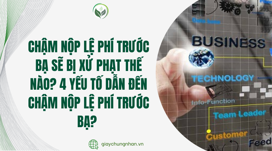 Chậm nộp lệ phí trước bạ sẽ bị xử phạt thế nào? 4 yếu tố dẫn đến chậm nộp lệ phí trước bạ? 