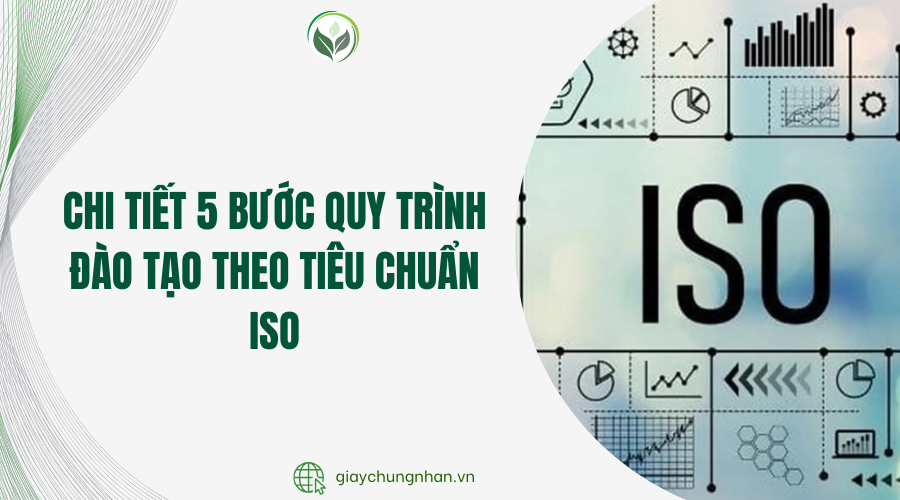 Chi tiết 5 bước quy trình đào tạo theo tiêu chuẩn ISO