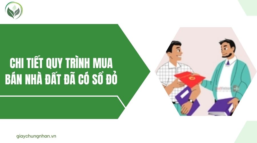 Chi tiết quy trình mua bán nhà đất đã có sổ đỏ.jpg