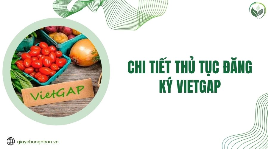 Chi tiết thủ tục đăng ký Vietgap.jpg