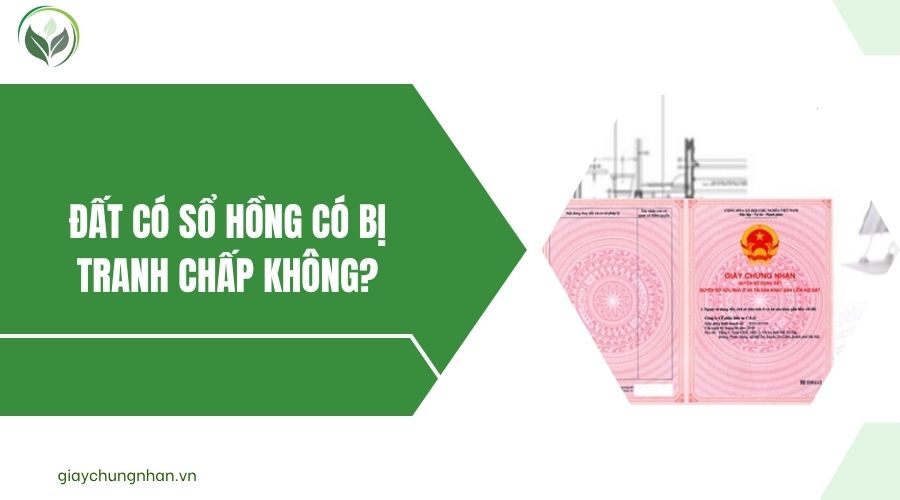 Đất có sổ hồng có bị tranh chấp không?.jpg