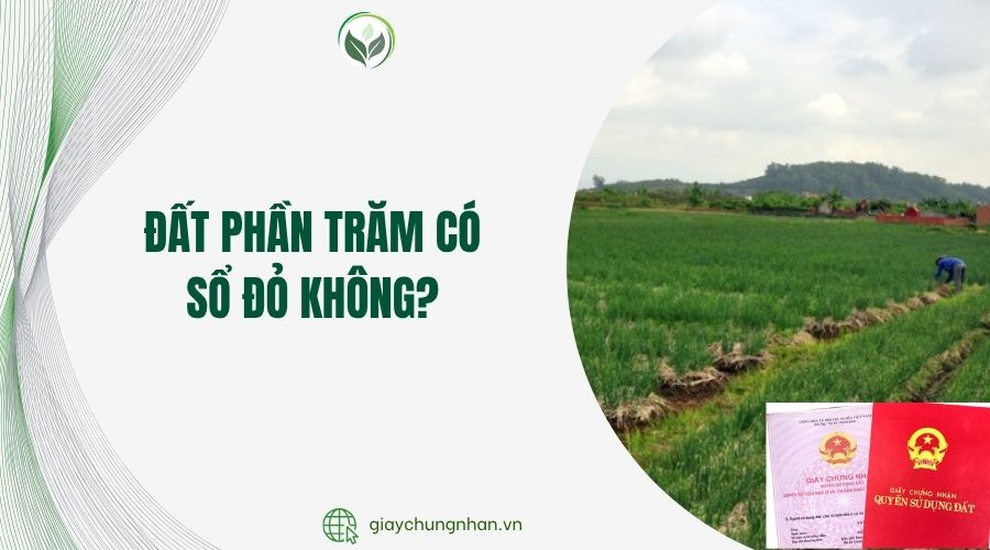 Đất phần trăm có sổ đỏ không?.jpg