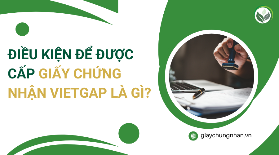 Điều kiện để được cấp giấy chứng nhận Vietgap là gì?