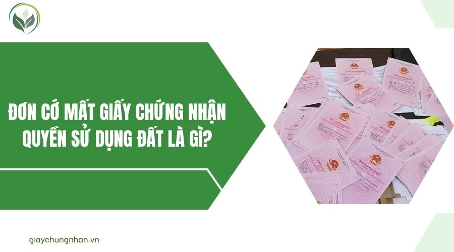Đơn cớ mất giấy chứng nhận quyền sử dụng đất là gì?.jpg